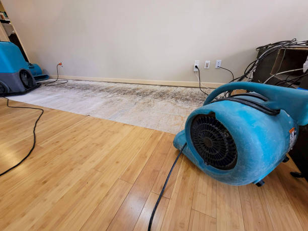 Reliable Basement Flood Cleanup contractor in Linwood, MI by Hirex Water Damage
