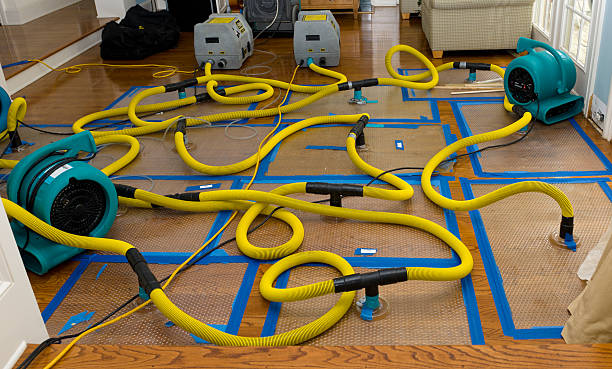 Professional Basement Flood Cleanup technician working in Linwood, MI